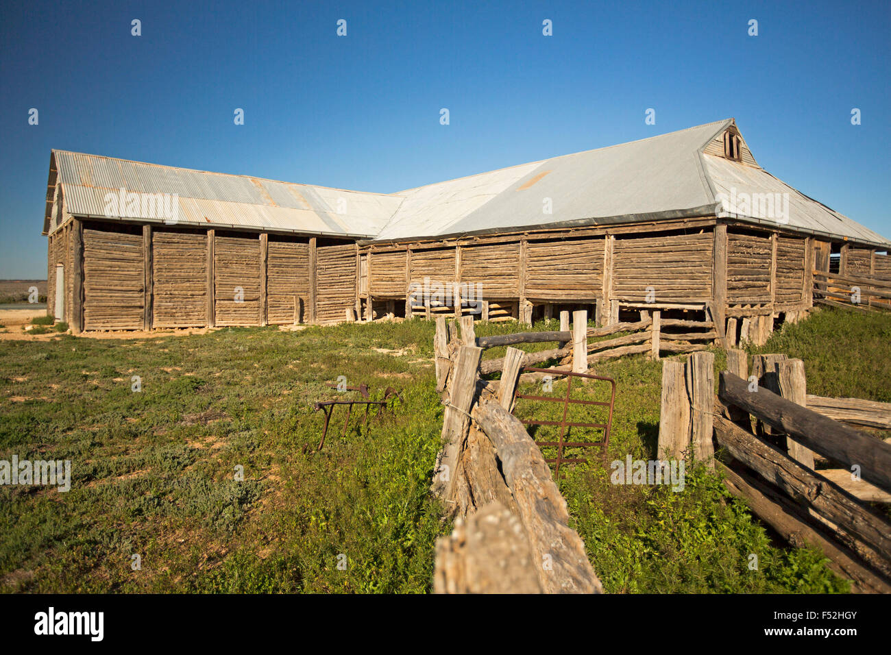 Extensive old timber shearing shed & yards, built from native cyress pine, under blue sky at Mungo National Park outback NSW Stock Photo