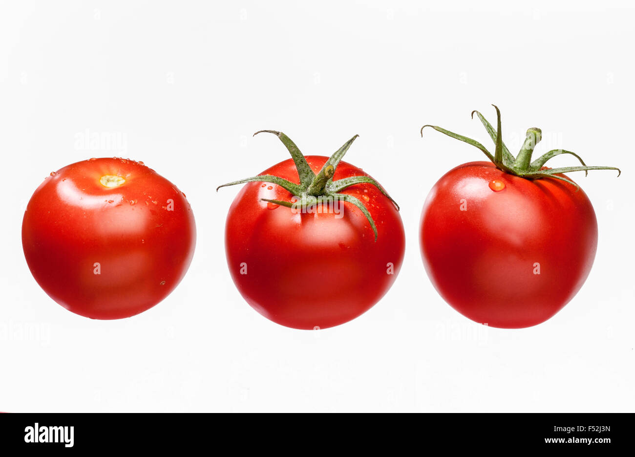Tomatoes, individually, cluster, studio, Solanum licopersicum, solanum Stock Photo