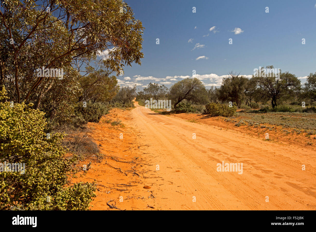 Long red sandy road, hemmed by native woodlands, stretching to horizon & blue sky at Mungo National Park in outback Australia Stock Photo