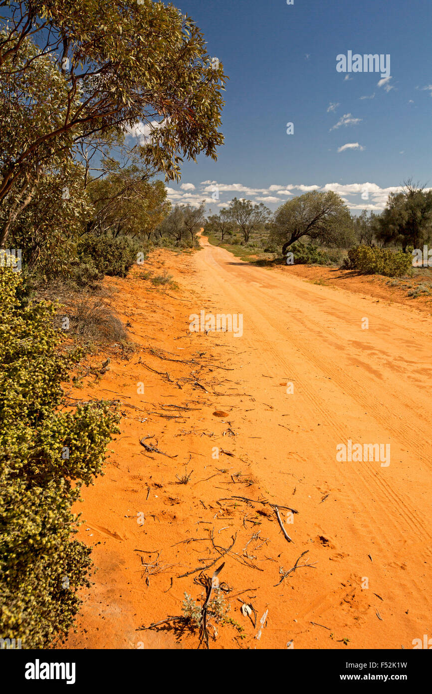 Long red sandy road, hemmed by native woodlands, stretching to horizon & blue sky at Mungo National Park in outback Australia Stock Photo