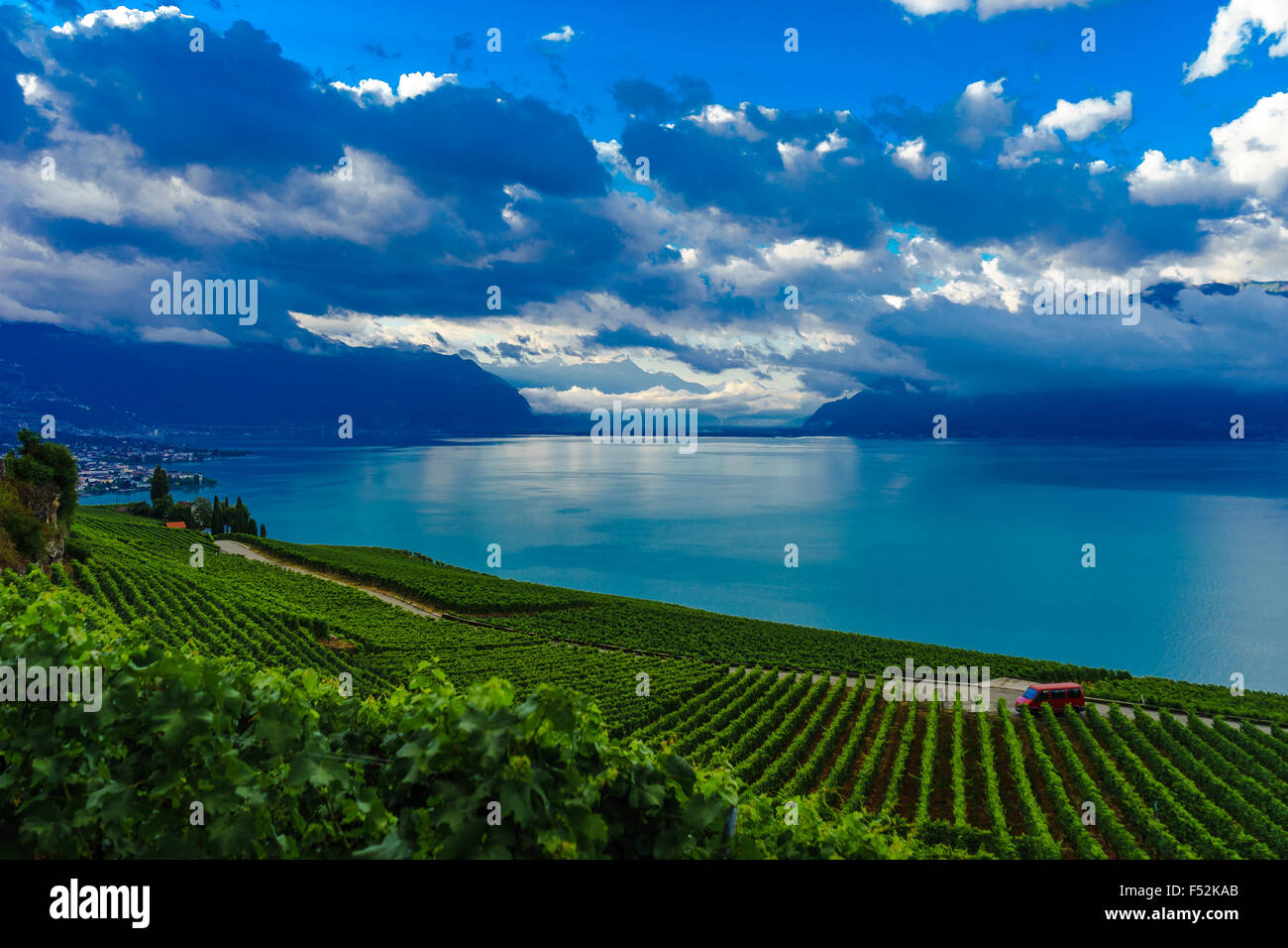 Overlooking the vineyards at Lavaux, a UNESCO World Heritage Site. Lake Geneva, Switzerland. Stock Photo