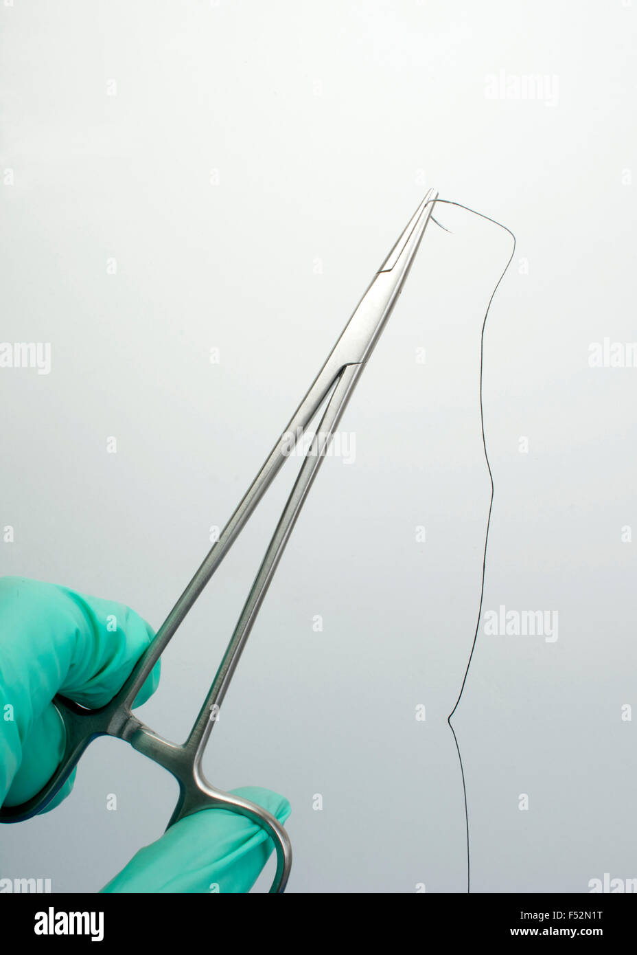 Needle holder with suture held by gloved hand. Stock Photo