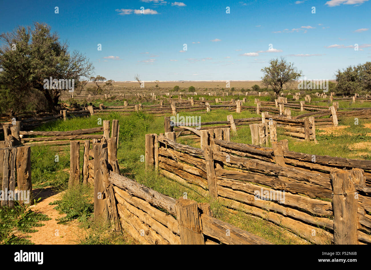 Stock yards made from cypress pine in Australian outback landscape of emerald grass after rain at old Zanci station in Mungo National Park Stock Photo