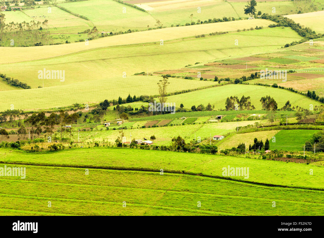 High Altitude Farming In Andes Highlands Of Ecuador Stock Photo Alamy