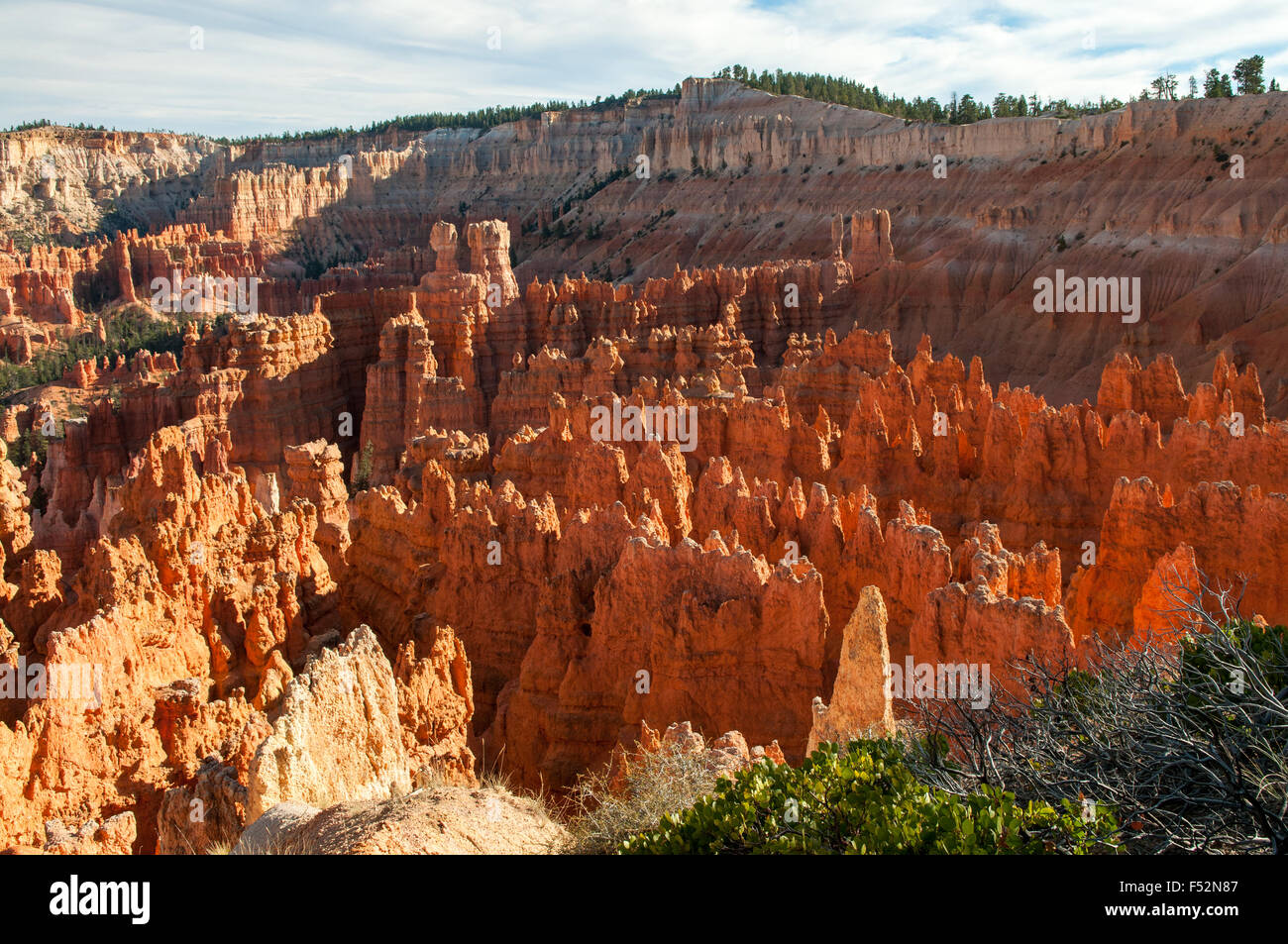 View from near Sunset Point, Bryce Canyon, Utah, USA Stock Photo