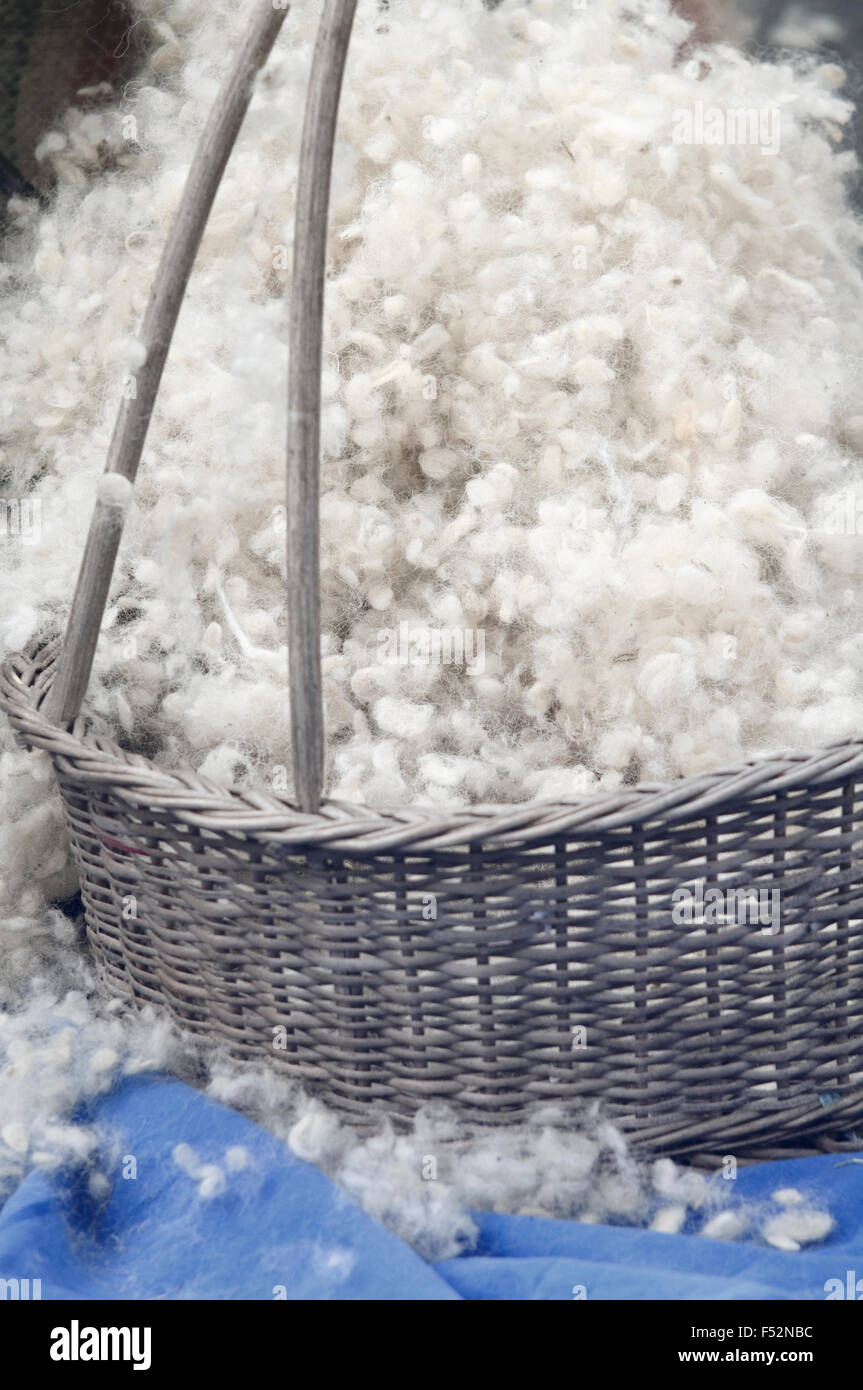 Italy, Lombardy, Carding Wool Stock Photo Alamy