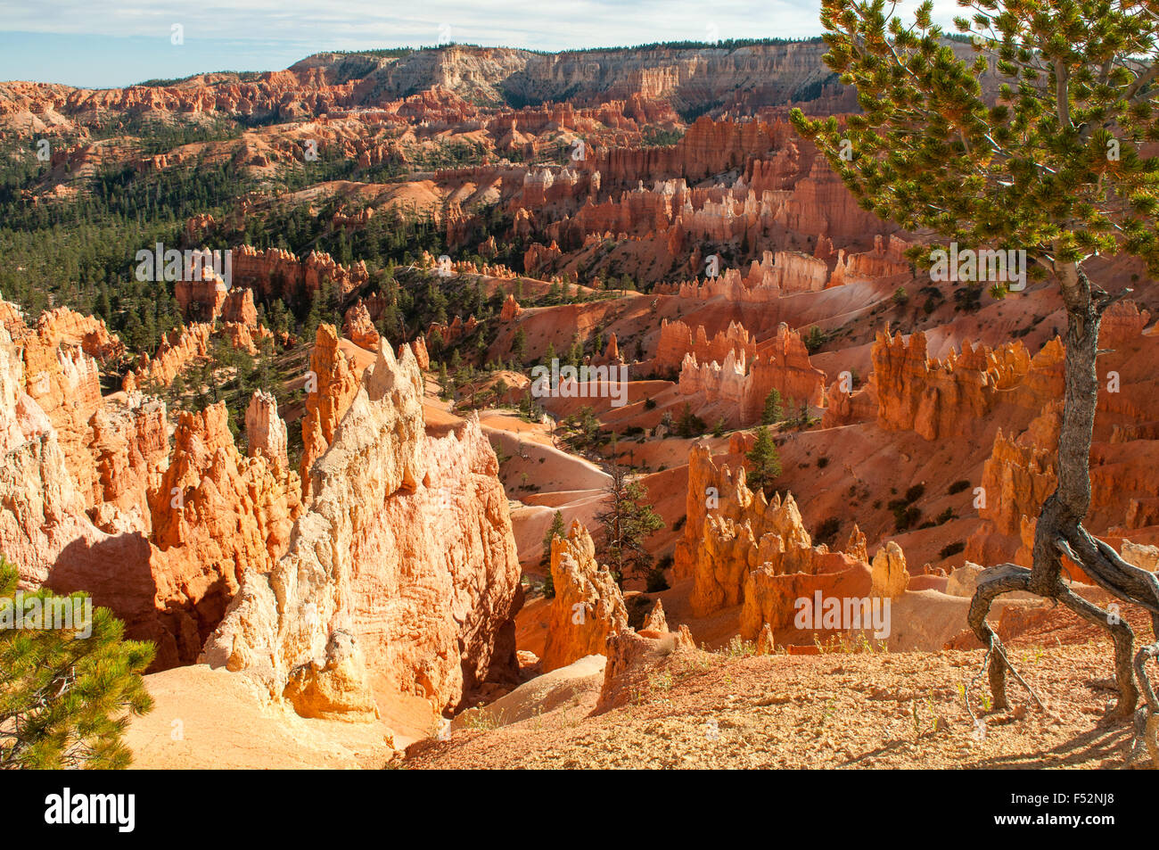 View from near Sunset Point, Bryce Canyon, Utah, USA Stock Photo