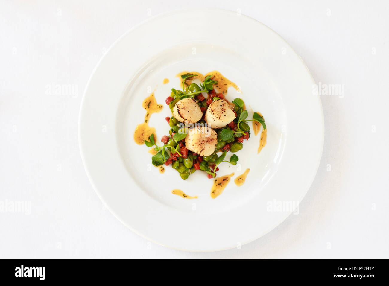 Top view of Pan fried scallops Broad beans & chorizo Stock Photo Alamy