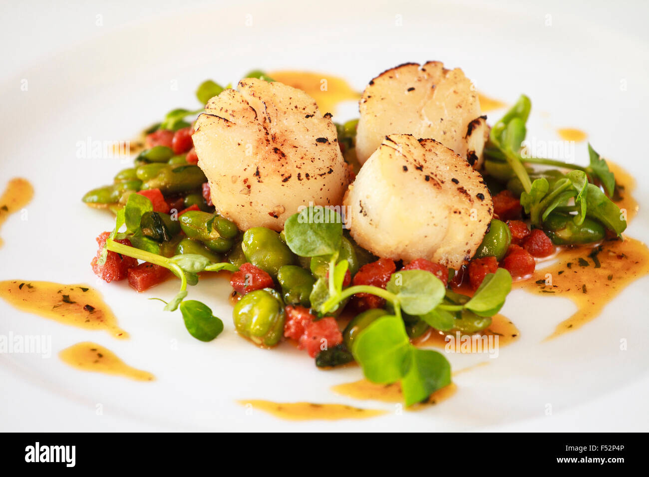 Pan fried scallops with Broad beans & chorizo Stock Photo Alamy