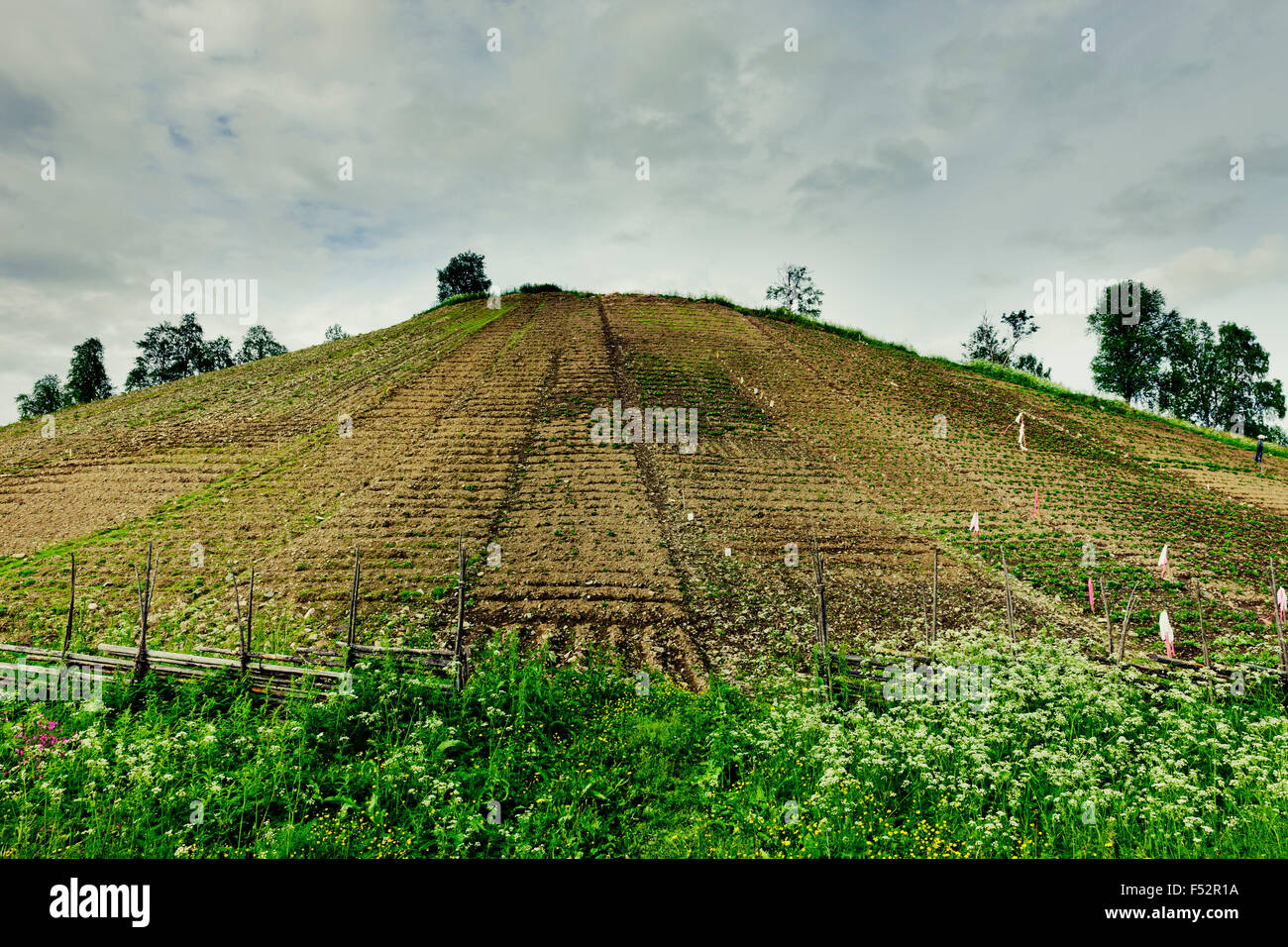 Potatisbacken Ammarnas Stock Photo Alamy