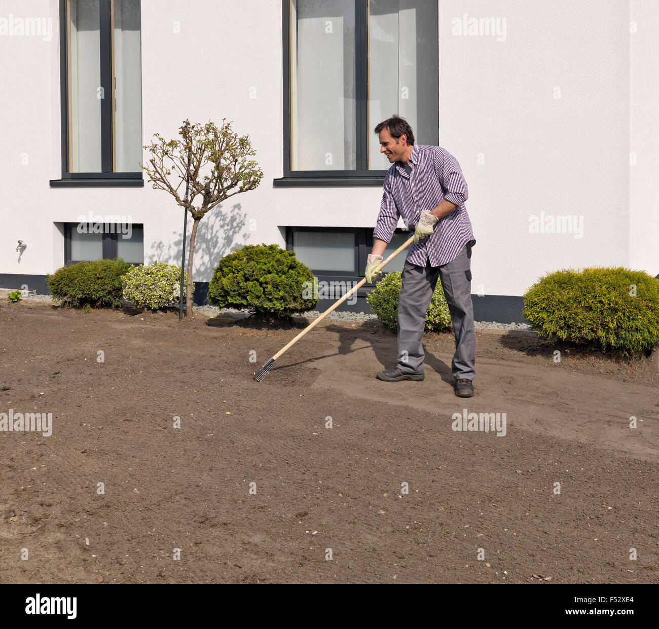 turf, lay, garden, man, rake, rake Stock Photo - Alamy