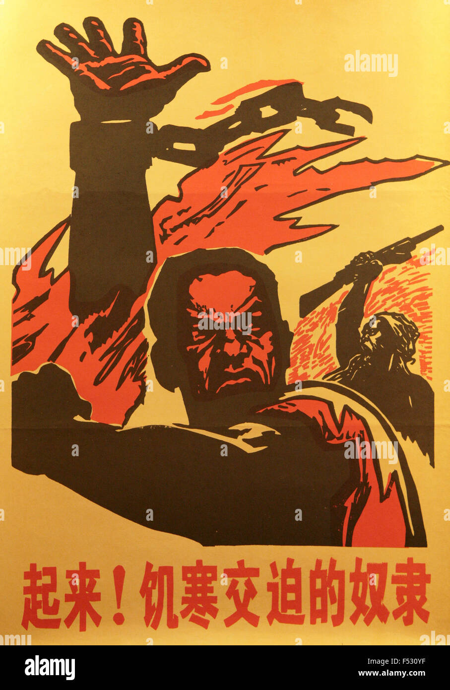 Amazon.com: Chinese Propaganda Posters: From Revolution to