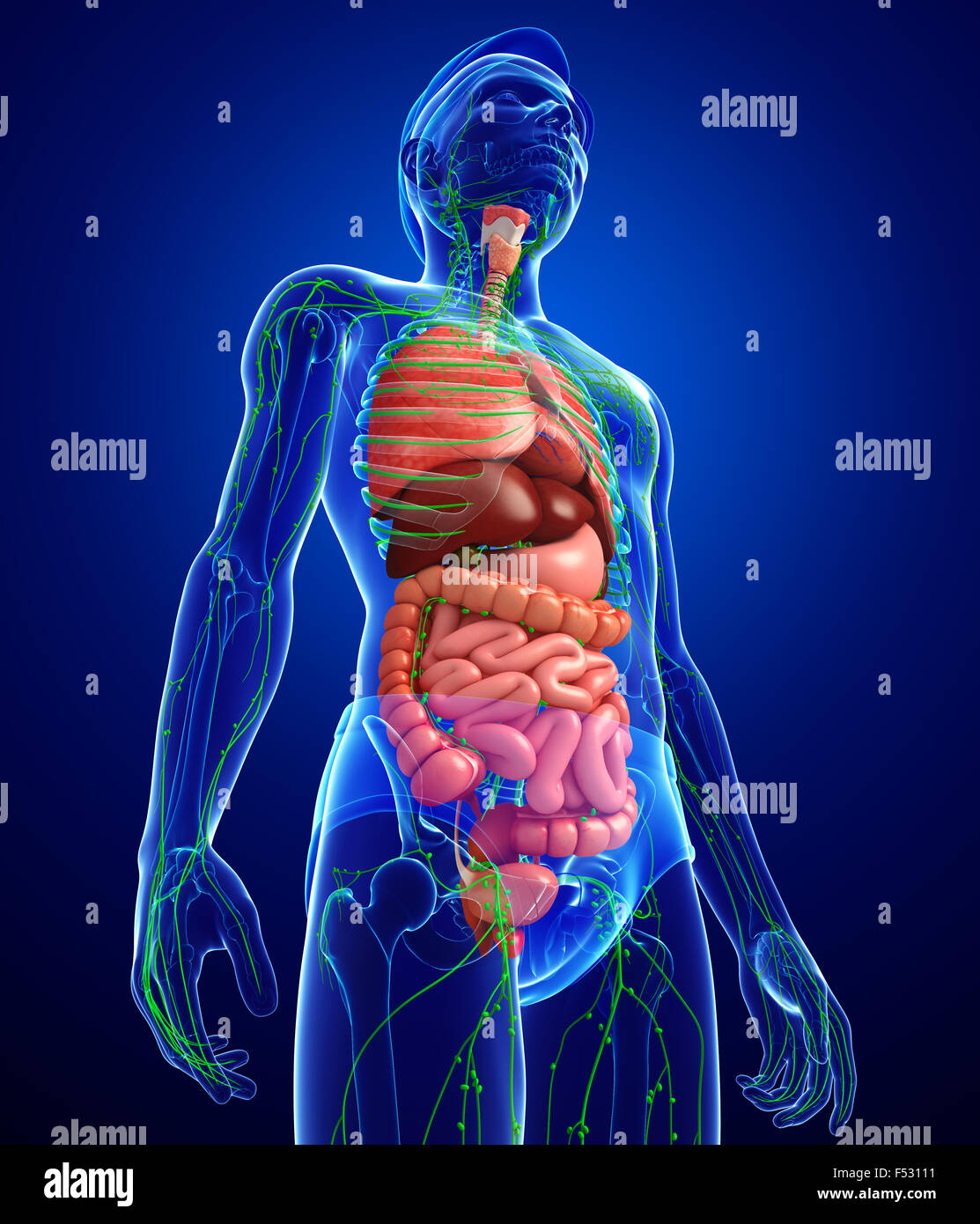 Очищение организма. Организме и на основе полученных. Организме и на основе полученных. Влияние витаминов на организм человека. Организме и на основе полученных.