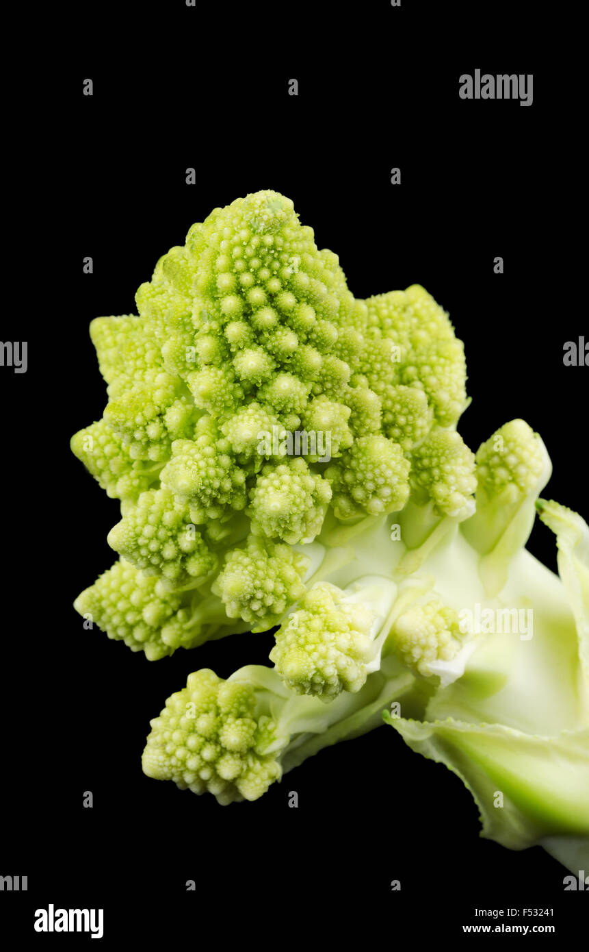 Romanesco broccoli floret macro photo on black background. Also known as Romanesque cauliflower or Buzzy Broc. Front view. Stock Photo