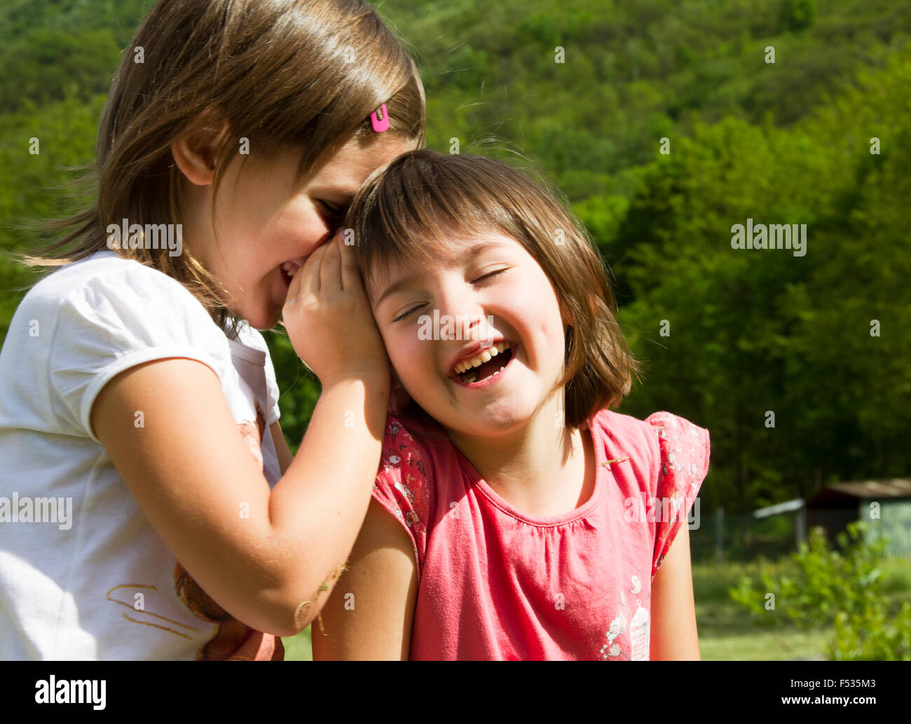 Two twin little sister girls whisper in the ear Stock Photo