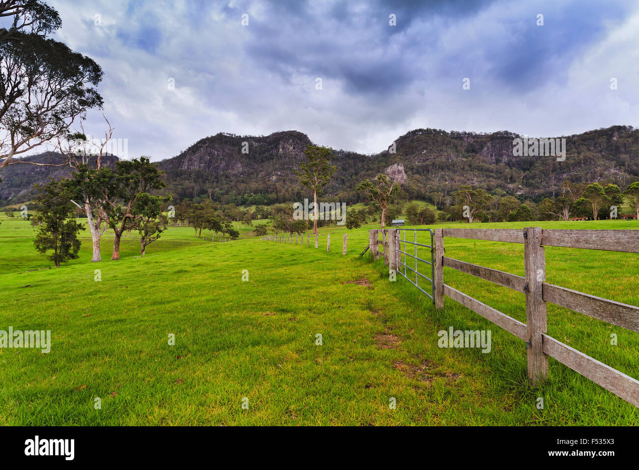 Green pasture field of a farm in rural NSW in Australia - agricultural site for steer growth with fences and mountain range Stock Photo