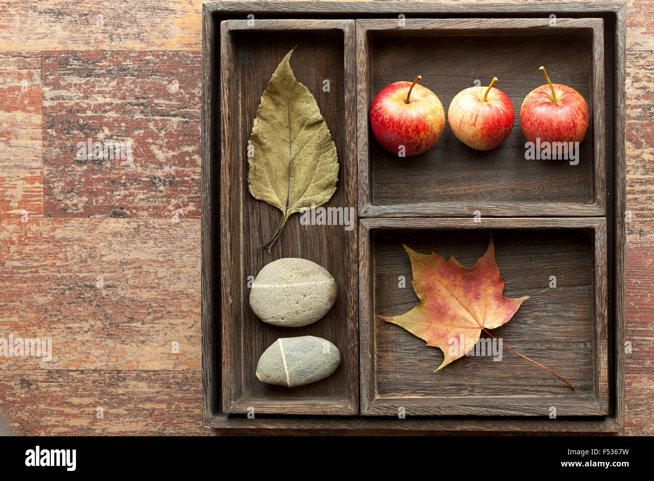 Natural elements, collection in the letter case Stock Photo