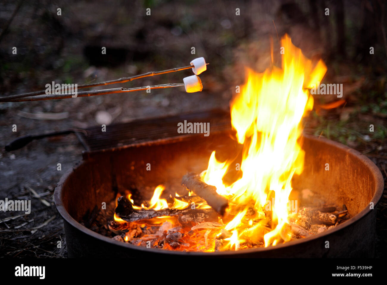 Campfire With Marshmallows On A Camping Ground In Florida Usa Stock Photo Alamy