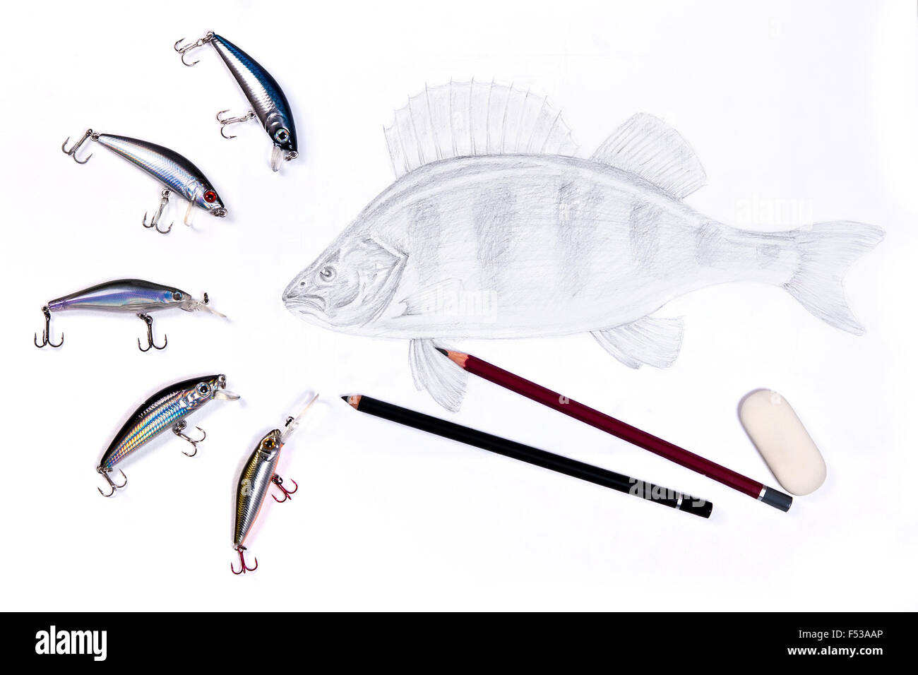 Different kinds of fishing plastic baits with drawing perch on the white  background. Drawing with graphite pencil. Graphite penc Stock Photo - Alamy