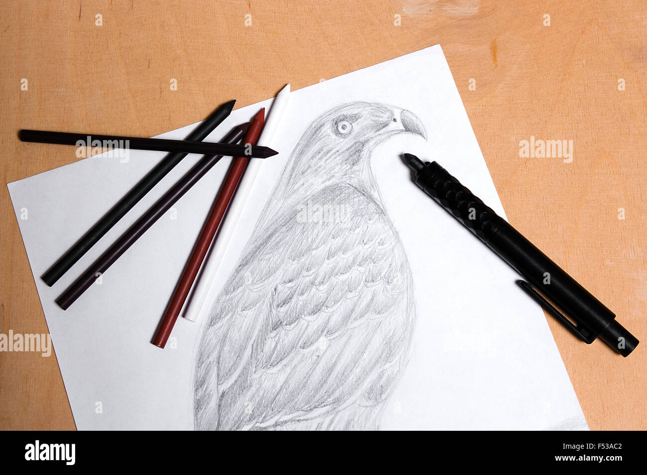 Clutch pencil with drawing hawk on the wooden background. Clutch pencil and different kinds of art materials: sanguine, graphite Stock Photo