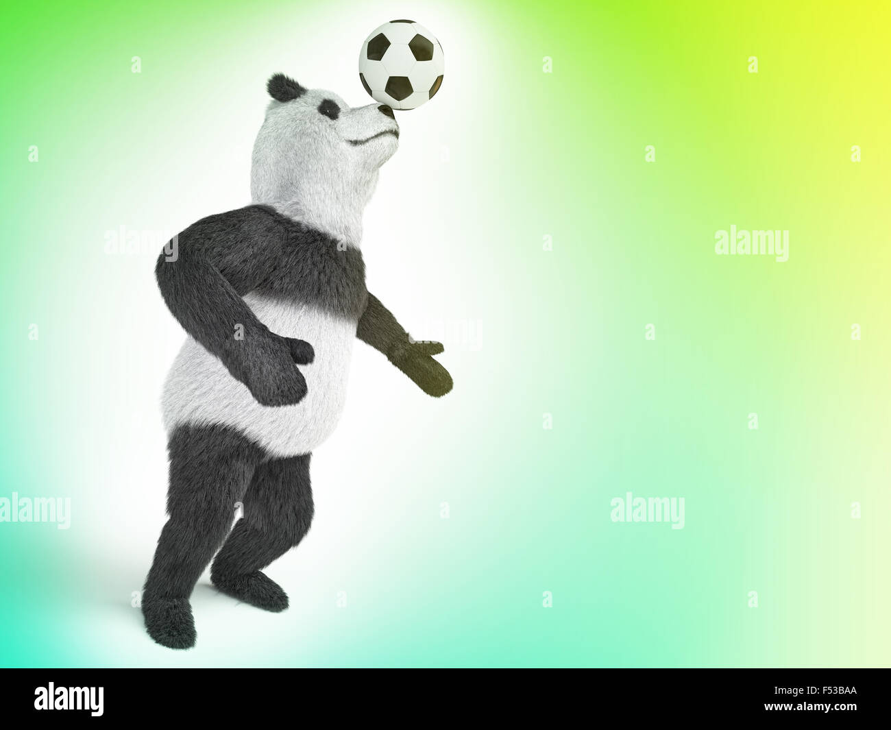 character circus bamboo bear giant panda standing spreading legs to the sides chasing a ball on his nose. involuntary amazing an Stock Photo