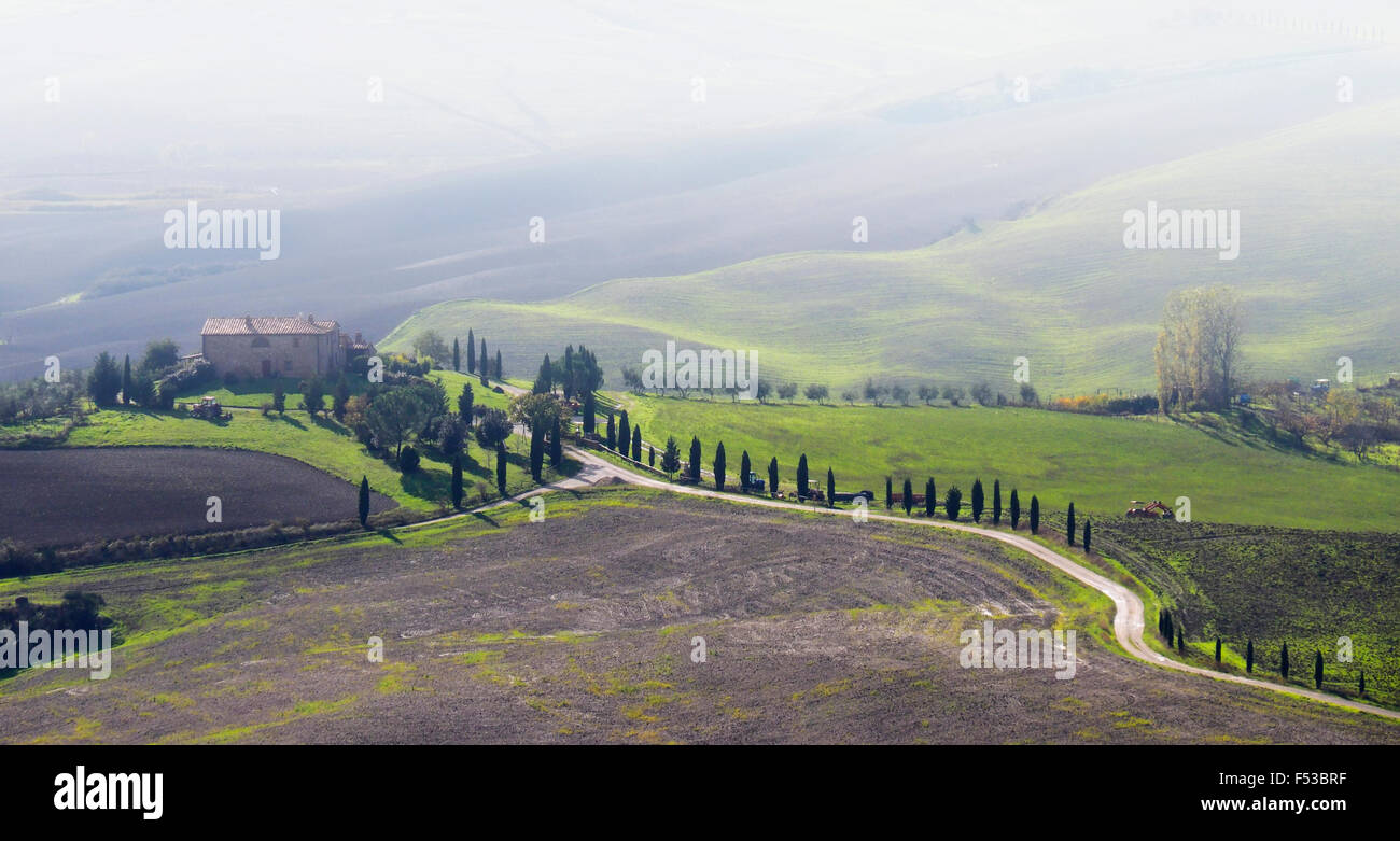 Europe, Italy, Tuscany. Winding road leading to a villa near the hilltown of Pienza. Stock Photo