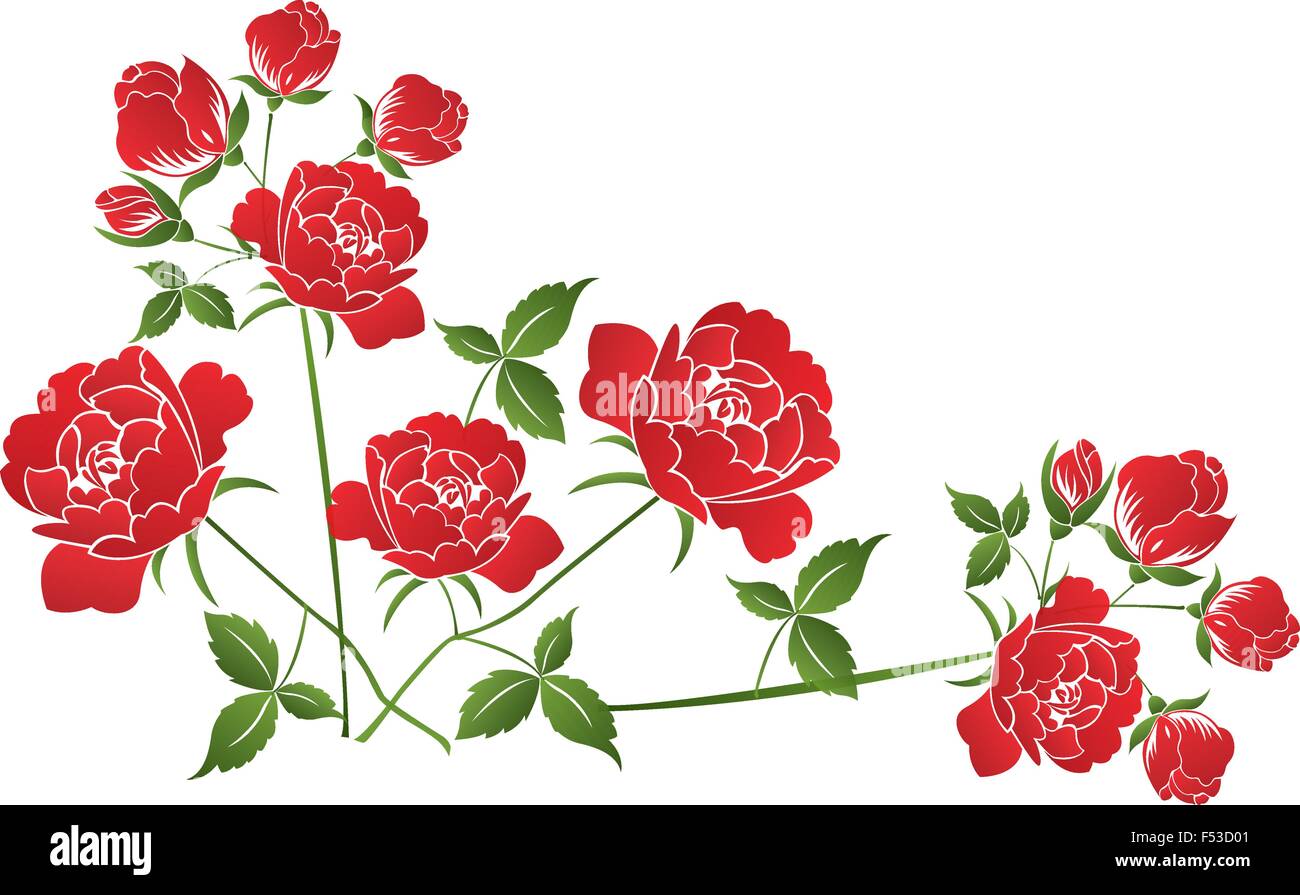 Beautiful red roses on white background - illustration Stock Vector ...