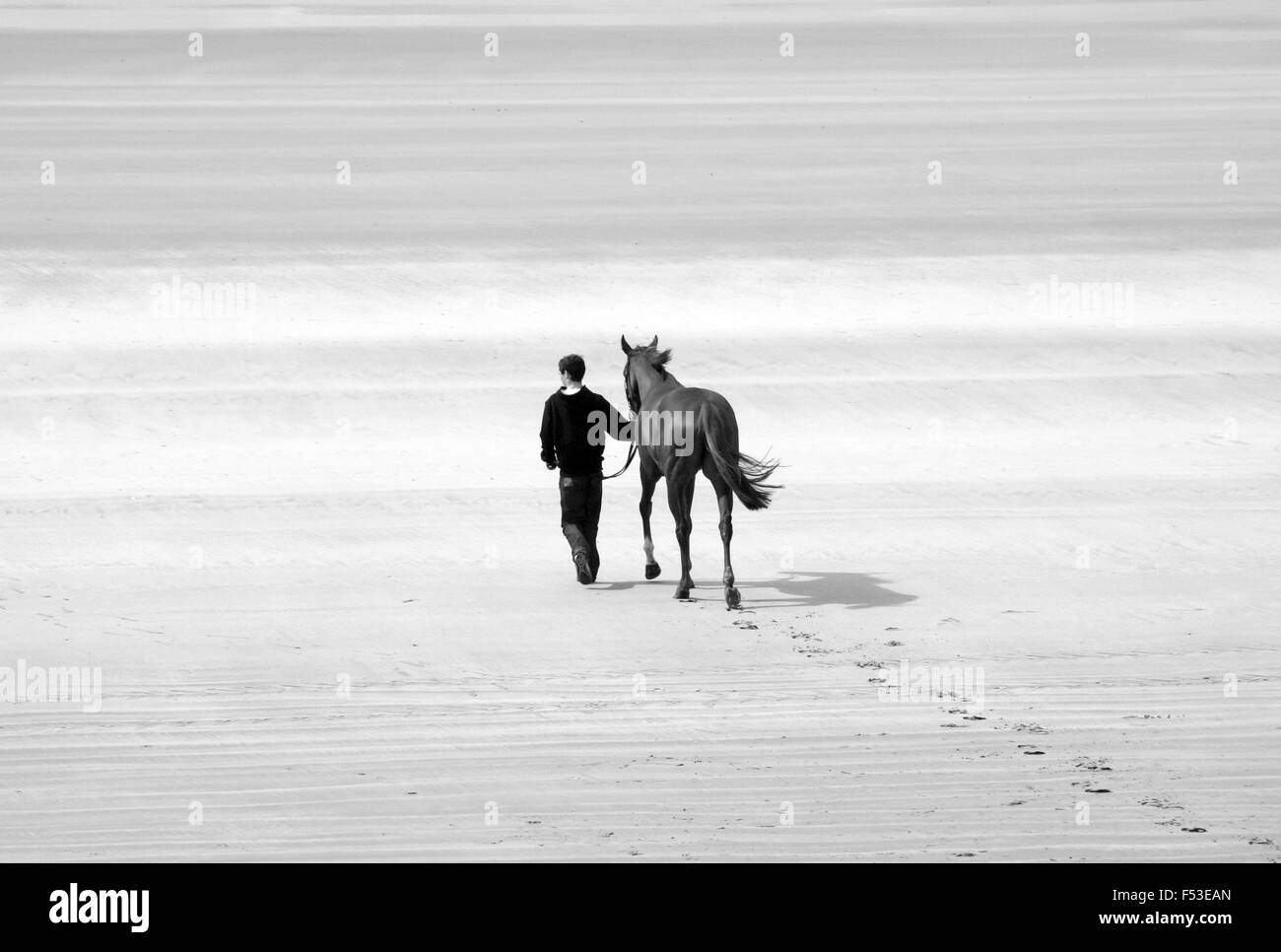 Walking the horse before the Doolough races in County Mayo, Ireland. Stock Photo