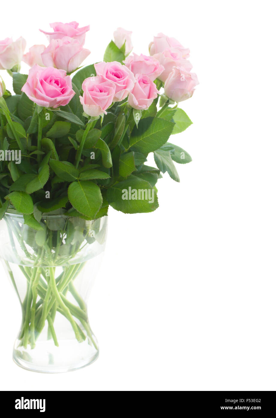 3 Fresh Roses bouquet of fresh roses Stock Photo - Alamy