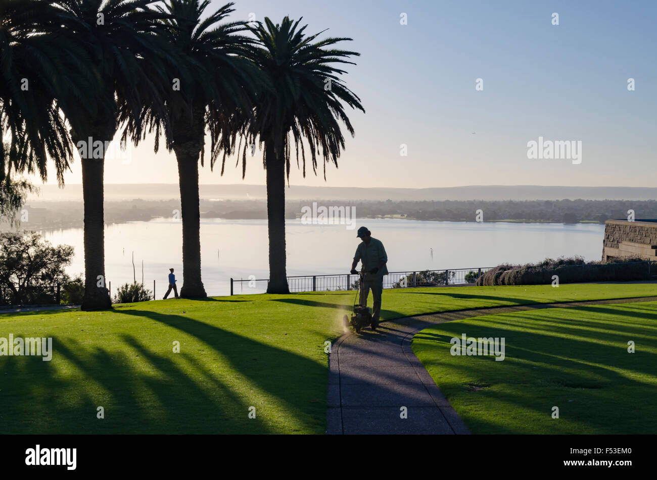 A silhouetted gardener cuts lawn edges in the early morning in Kings Park, Perth, Western Australia, the city's major park Stock Photo