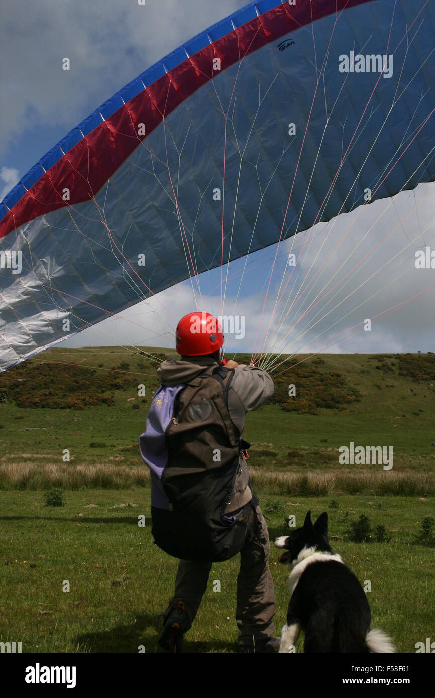 Trainee paraglider pilot is ground handling with a collie dog for company Stock Photo