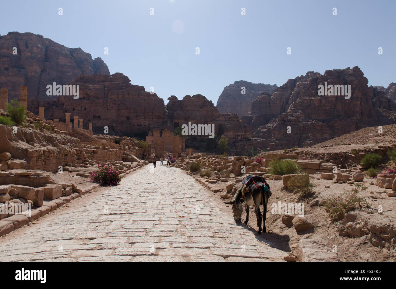 Donkey in ancient arab hi-res stock photography and images - Alamy
