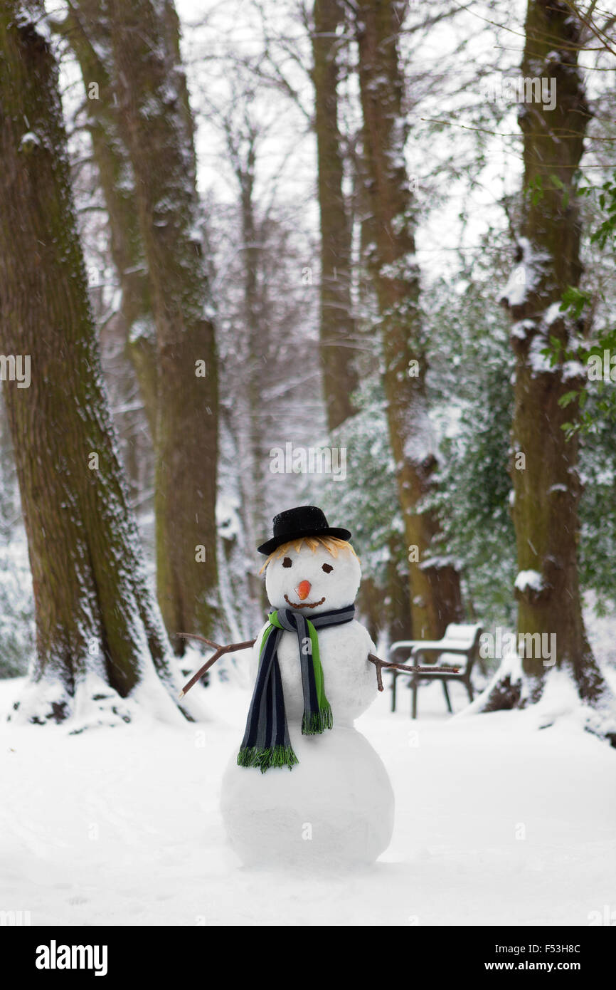 Freezing snowman standing in the park wearing a hat Stock Photo