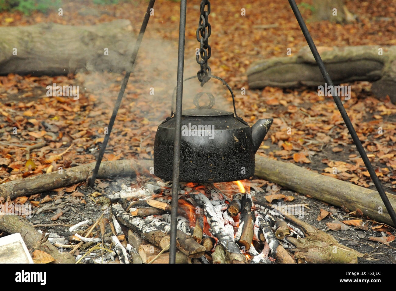 Kettle Boiling over open fire In The woods Stock Photo