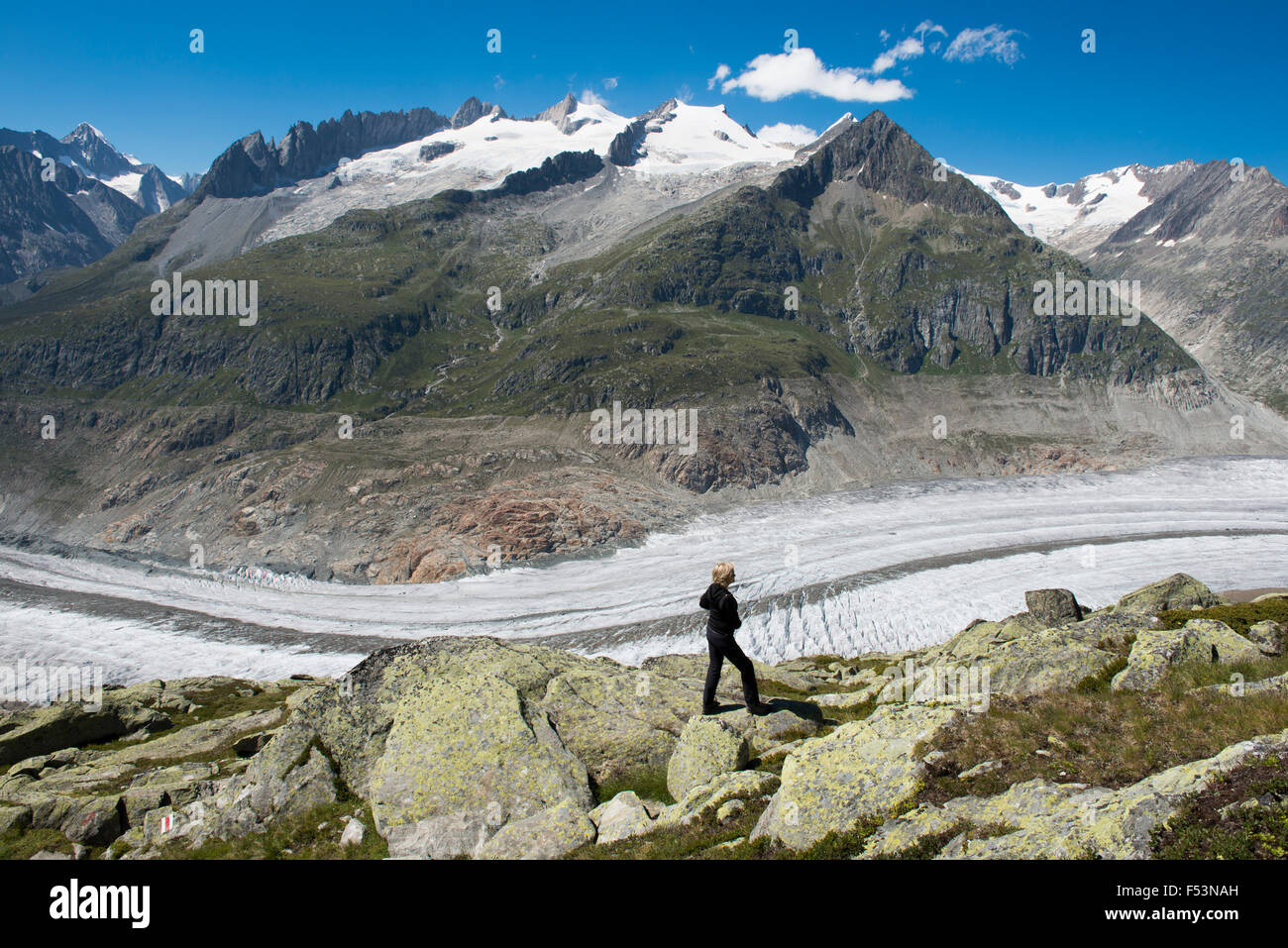 Aletsch glacier, Aletschhorn, Eggishorn (mountains), Fiesch ...