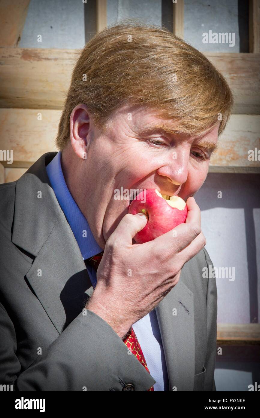 Loess Plateau, China. 27th Oct, 2015. King Willem-Alexander of The Netherlands visits an apple farm at Loess Plateau, China, 27 October 2015. The King and Queen are in China for an 5 day state visit. Photo: Patrick van Katwijk/ POINT DE VUE OUT - NO WIRE SERVICE -/dpa/Alamy Live News Stock Photo