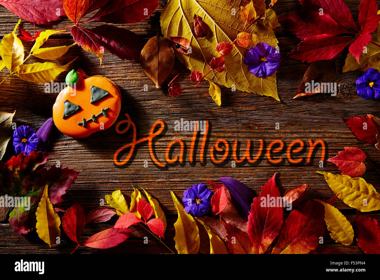 abstract orange background word halloween stock photos abstract word halloween
