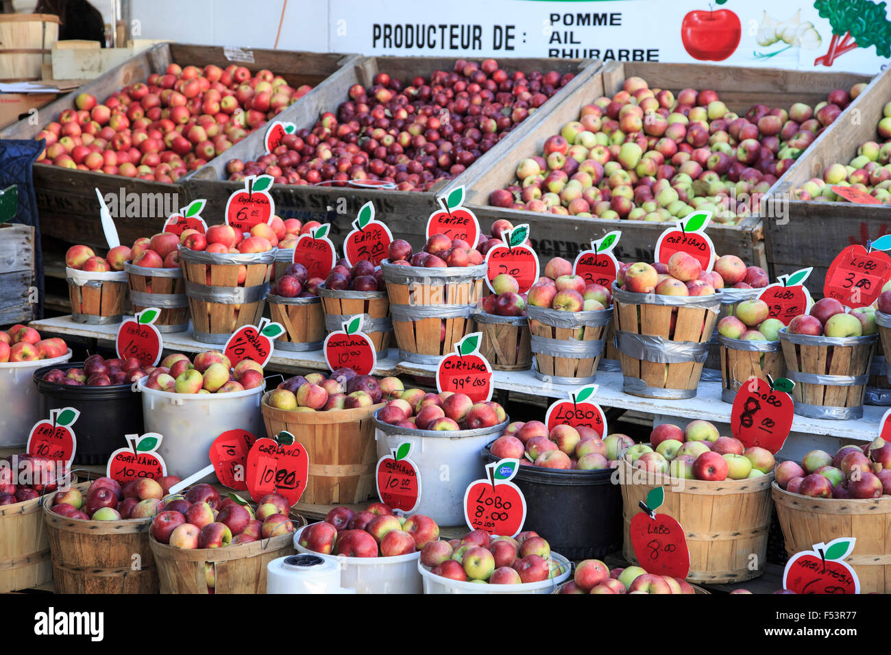 Apples at Jean Talon Market, Montreal, Quebec, Canada Stock Photo