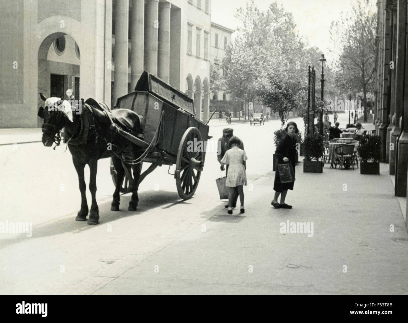 Collection rifiufi urban with horse cart , Rome, Italy Stock Photo