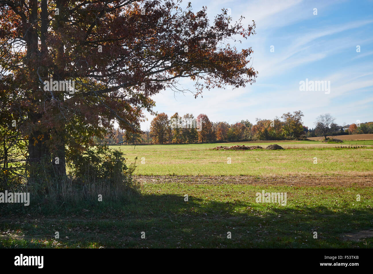 farm field after the harvest. Gray Wolf Plantation, New Oxford, Adams County, Pennsylvania, USA Stock Photo