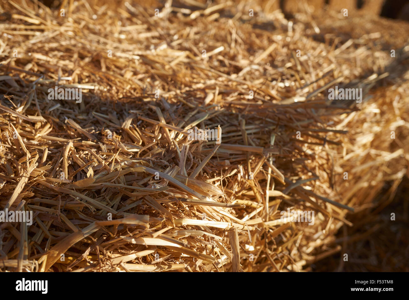 bale of hay detail Stock Photo