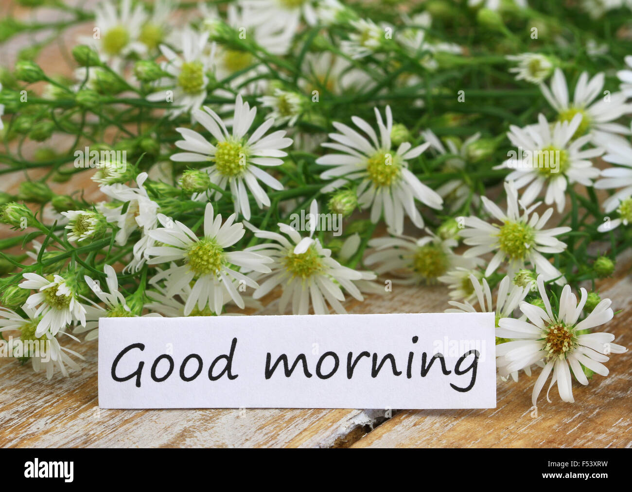 Good Morning Card With Chamomile Flowers On Rustic Wooden Surface