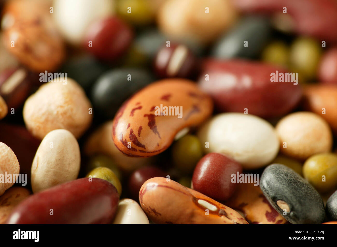 Close up of Red Kidney beans, Chickpeas, Pinto beans, Mung beans, Black