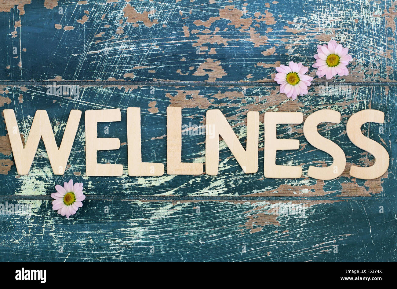 Wellness written on rustic wooden surface and pink daisy flowers Stock Photo