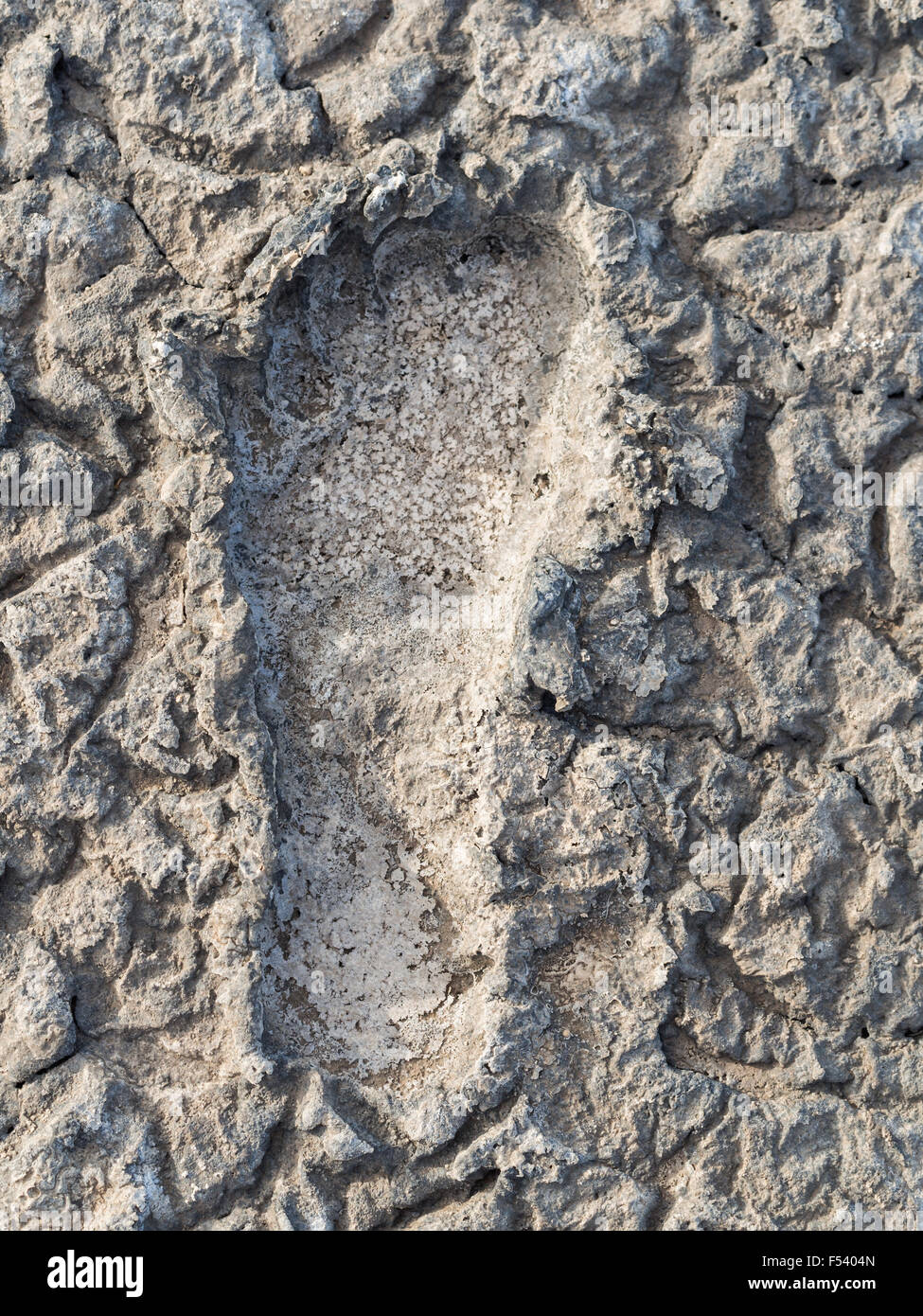 A footprint in the dry volcanic ground in the dried part of Lake Natron in Northen Tanzania, Africa. Stock Photo
