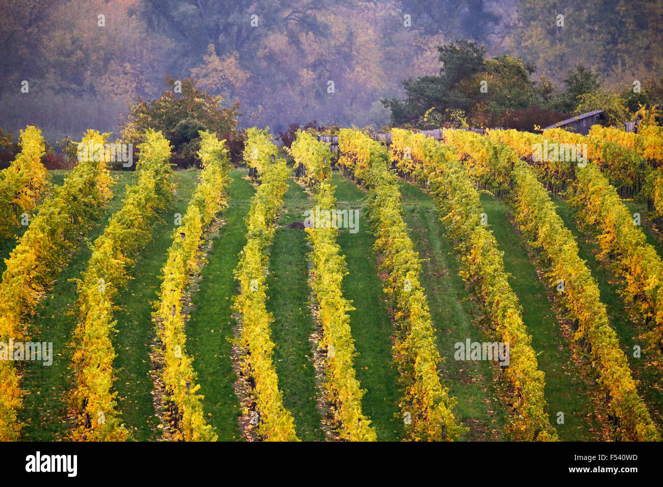 Cloudy autumn in Wachau valley Stock Photo