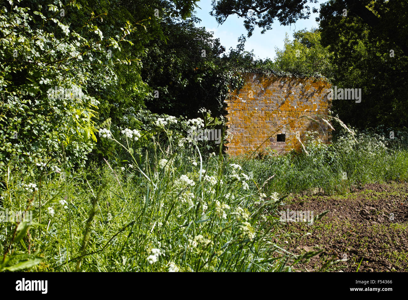 Pill Box used for defensive purposes during WWII site in the corner of a field on Hayling Island in Hampshire now derelict Stock Photo