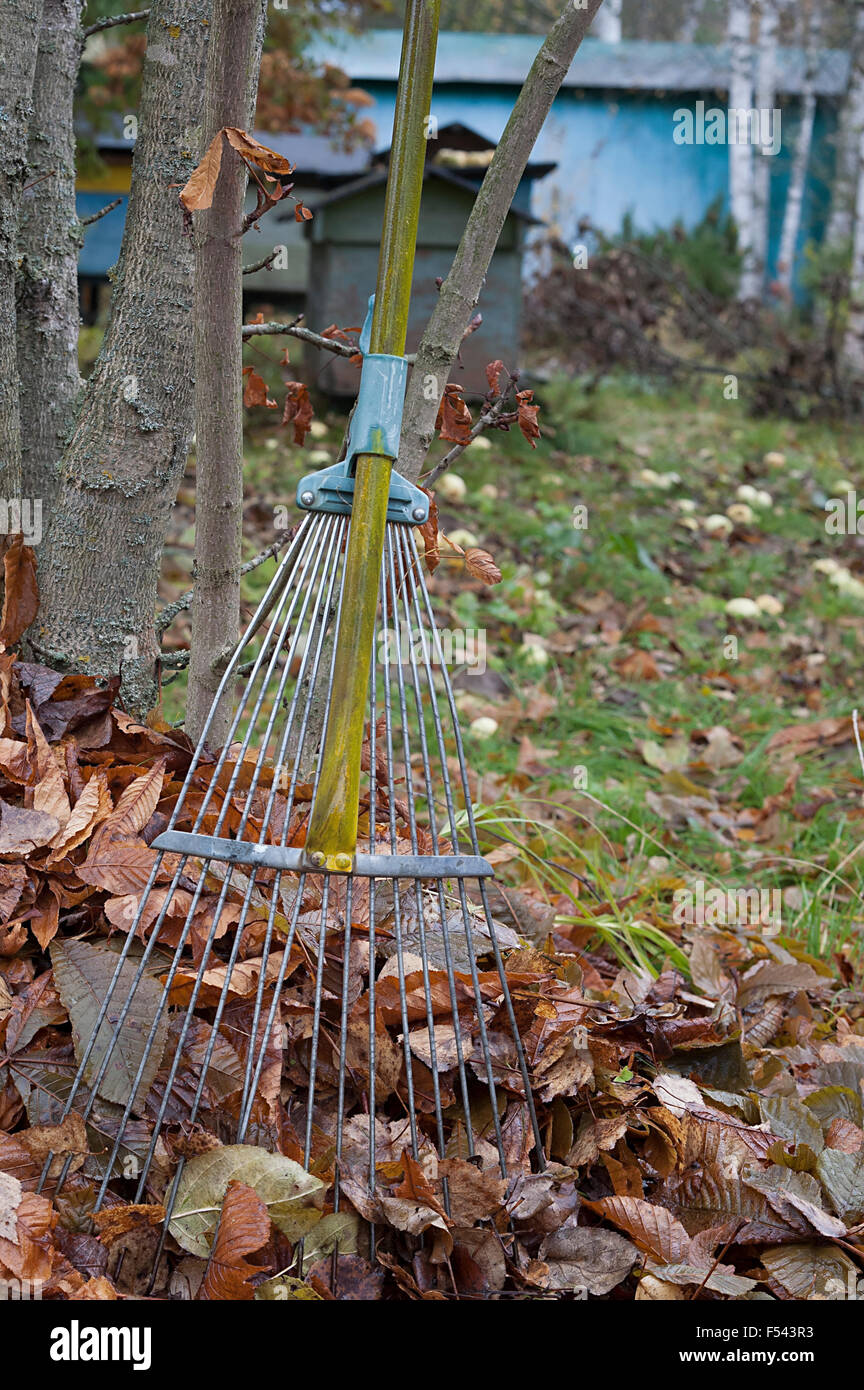 Leaves rake garden hi-res stock photography and images - Alamy