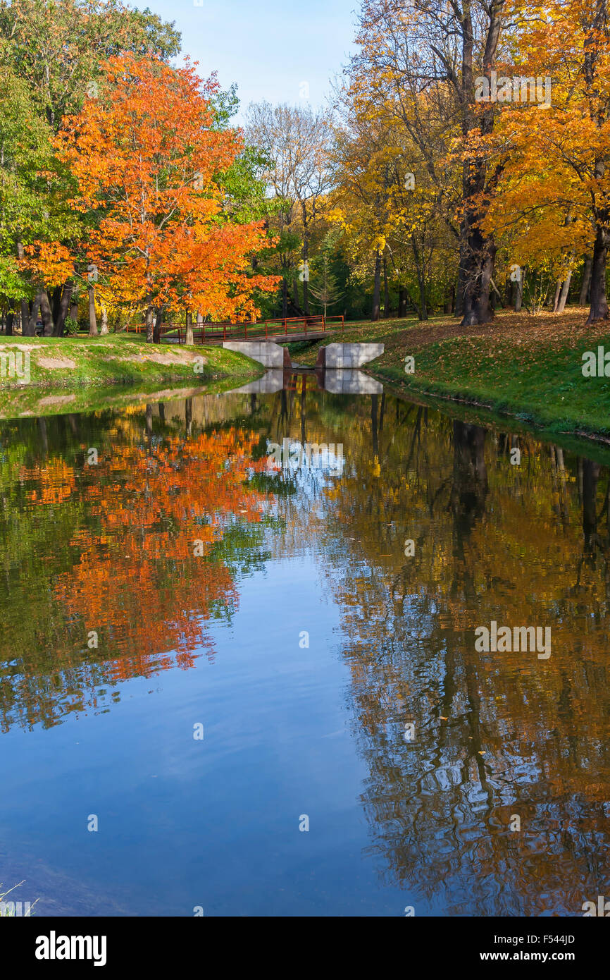 Reflection of Autumn Trees in Water Stock Photo - Alamy