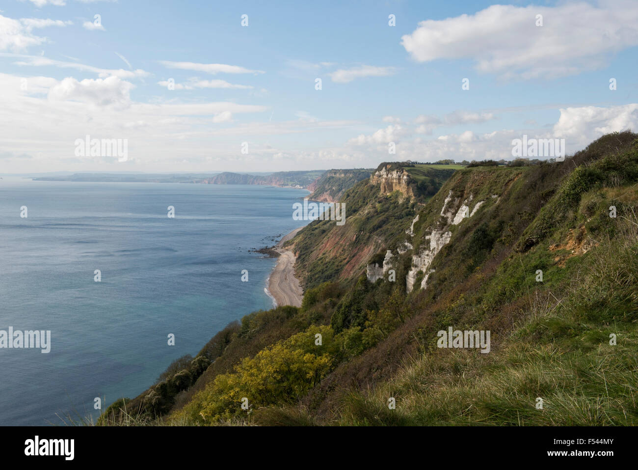 Coxes Cliff and the change from red soil to chalk on the Jurassic Coastline of East Devon near Branscombe, October Stock Photo